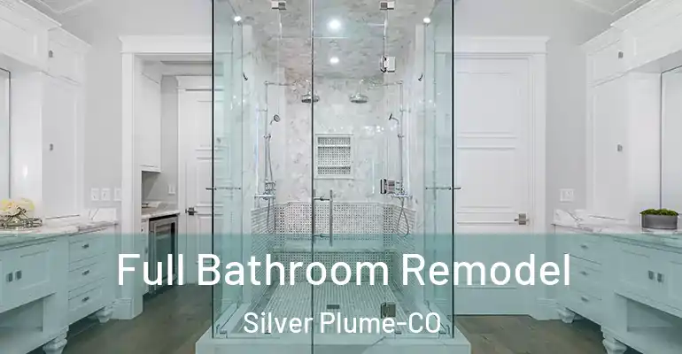 inner Bathroom imggen Full Bathroom Remodel Silver Plume-CO
