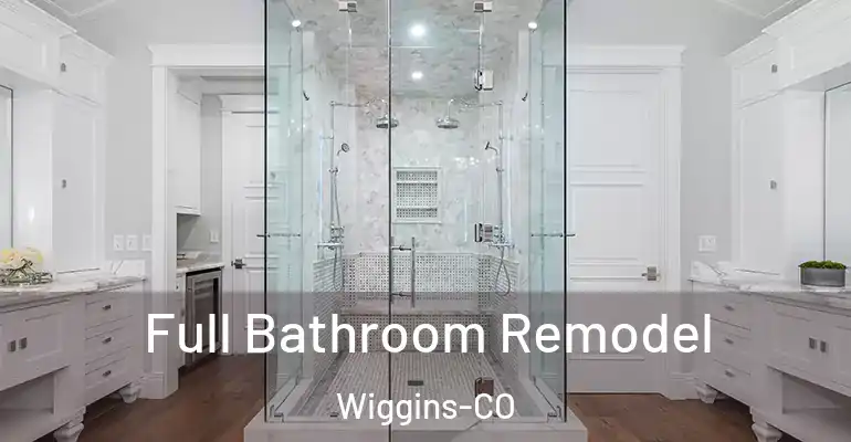 inner Bathroom imggen Full Bathroom Remodel Wiggins-CO