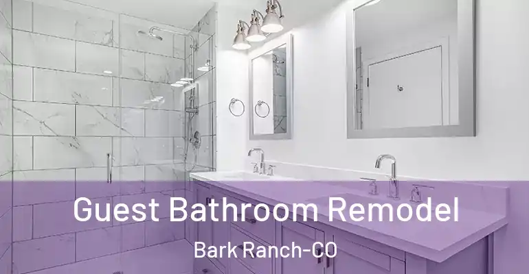 inner Bathroom imggen Guest Bathroom Remodel Bark Ranch-CO