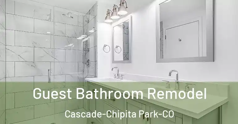 inner Bathroom imggen Guest Bathroom Remodel Cascade-Chipita Park-CO