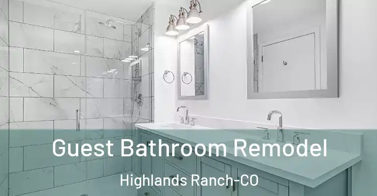 inner Bathroom imggen Guest Bathroom Remodel Highlands Ranch-CO