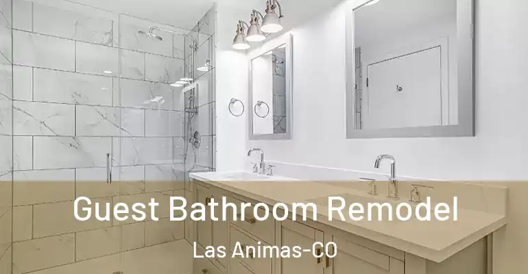 inner Bathroom imggen Guest Bathroom Remodel Las Animas-CO