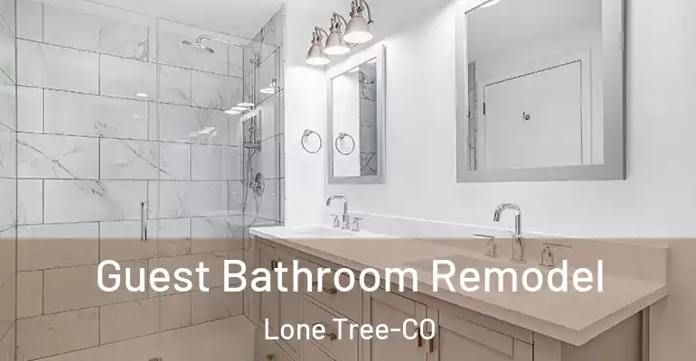 inner Bathroom imggen Guest Bathroom Remodel Lone Tree-CO