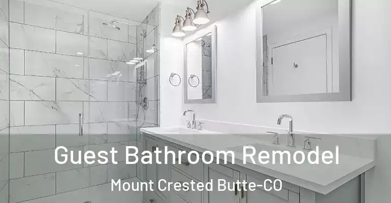 inner Bathroom imggen Guest Bathroom Remodel Mount Crested Butte-CO