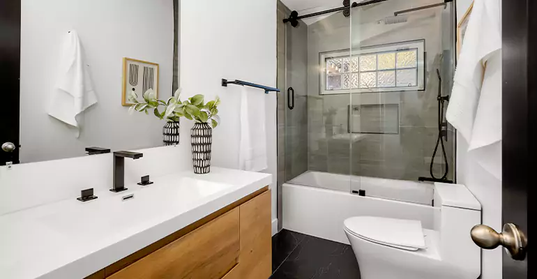 Tub to Shower Renovation in Aurora