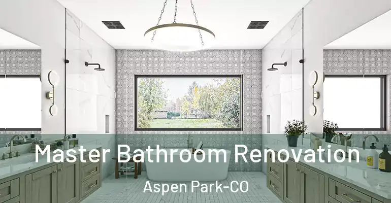 inner Bathroom imggen Master Bathroom Renovation Aspen Park-CO