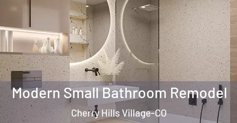 inner Bathroom imggen Modern Small Bathroom Remodel Cherry Hills Village-CO