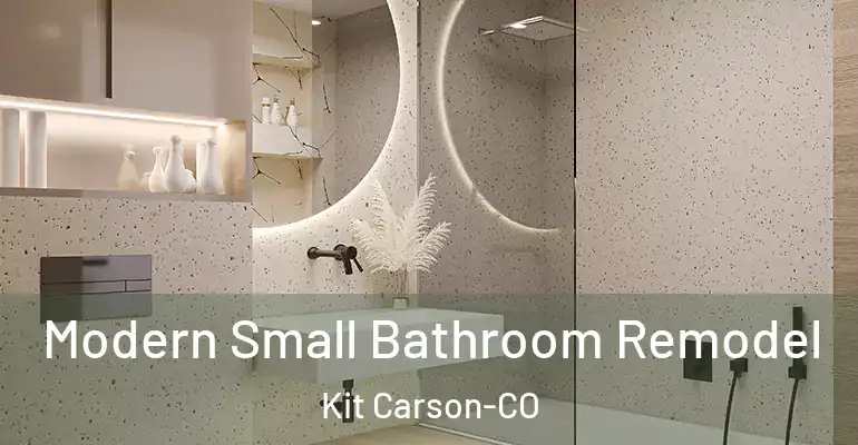 inner Bathroom imggen Modern Small Bathroom Remodel Kit Carson-CO