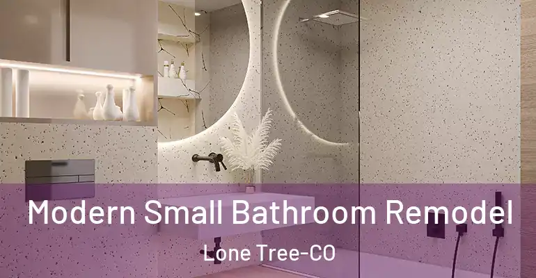 inner Bathroom imggen Modern Small Bathroom Remodel Lone Tree-CO