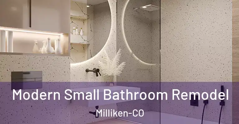 inner Bathroom imggen Modern Small Bathroom Remodel Milliken-CO
