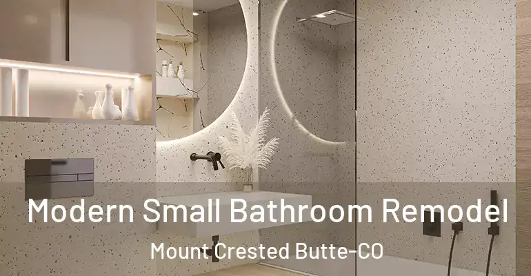 inner Bathroom imggen Modern Small Bathroom Remodel Mount Crested Butte-CO