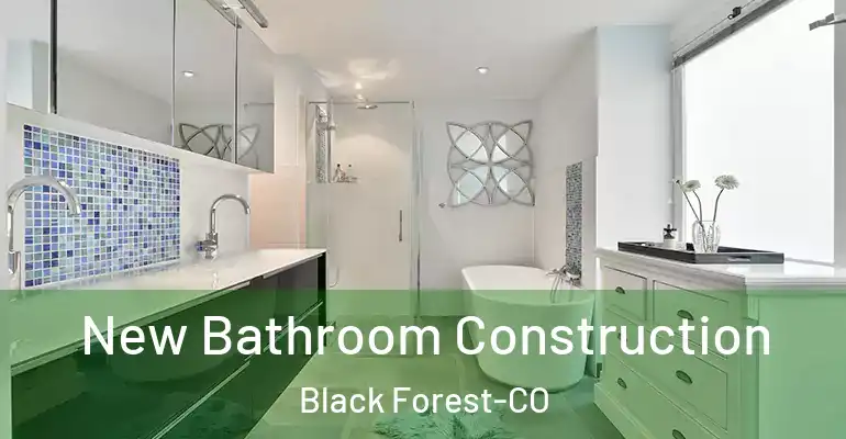 inner Bathroom imggen New Bathroom Construction Black Forest-CO