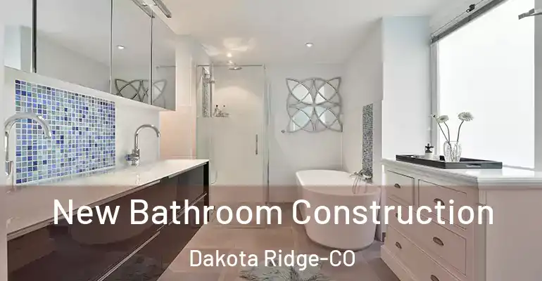 inner Bathroom imggen New Bathroom Construction Dakota Ridge-CO