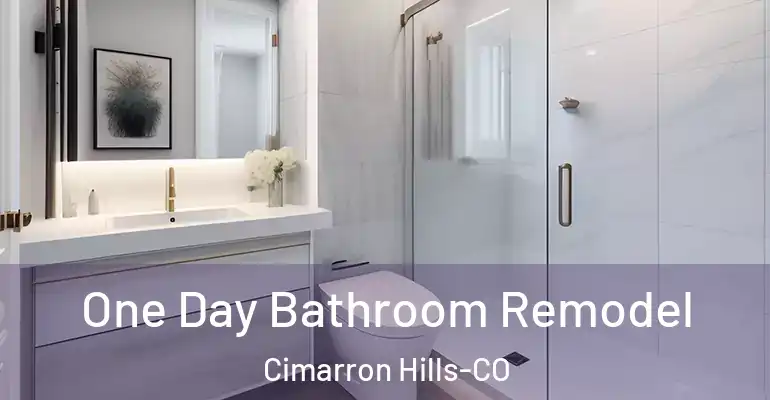 inner Bathroom imggen One Day Bathroom Remodel Cimarron Hills-CO