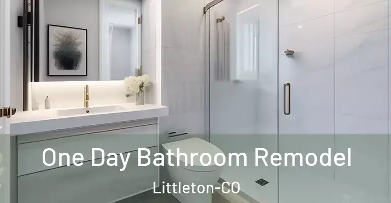 inner Bathroom imggen One Day Bathroom Remodel Littleton-CO