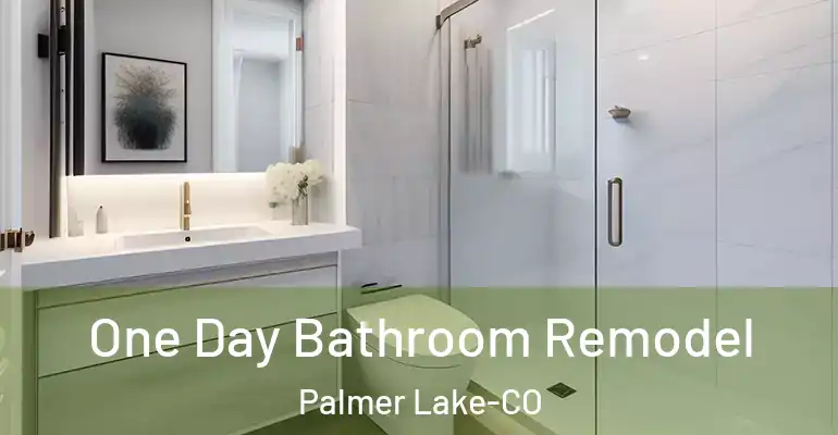 inner Bathroom imggen One Day Bathroom Remodel Palmer Lake-CO