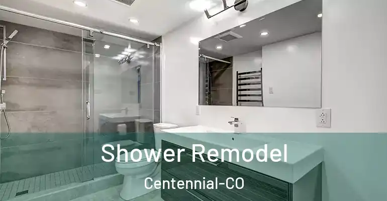 inner Bathroom imggen Shower Remodel Centennial-CO