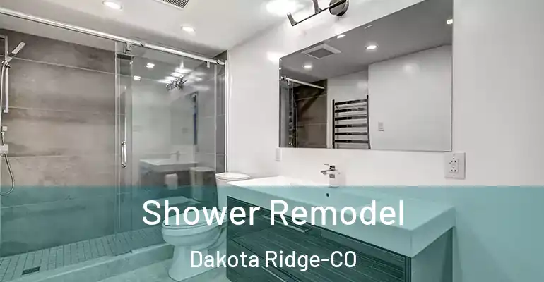 inner Bathroom imggen Shower Remodel Dakota Ridge-CO