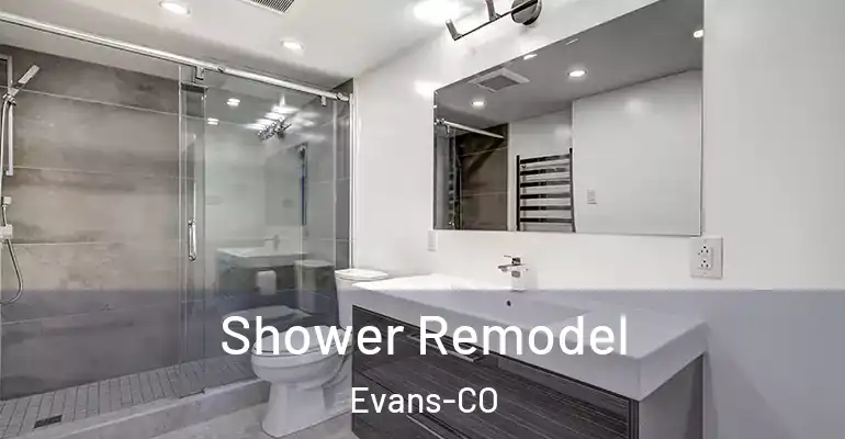 inner Bathroom imggen Shower Remodel Evans-CO