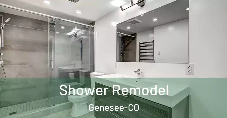 inner Bathroom imggen Shower Remodel Genesee-CO