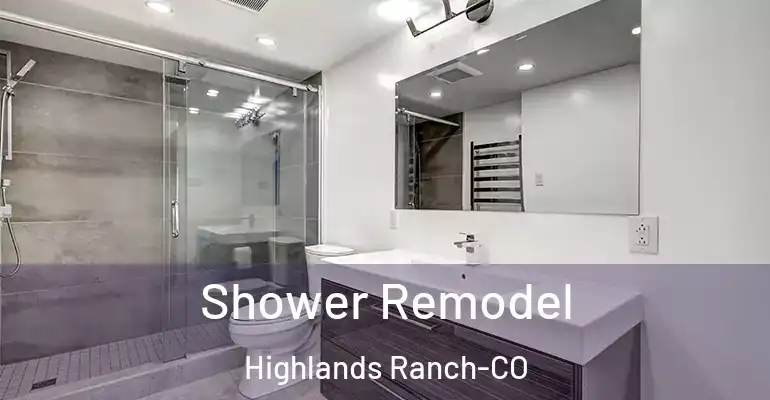 inner Bathroom imggen Shower Remodel Highlands Ranch-CO