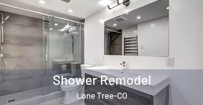 inner Bathroom imggen Shower Remodel Lone Tree-CO