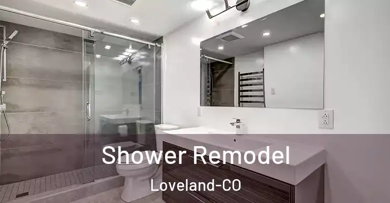 inner Bathroom imggen Shower Remodel Loveland-CO