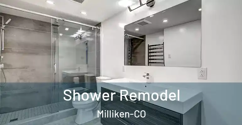 inner Bathroom imggen Shower Remodel Milliken-CO