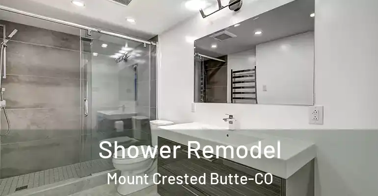 inner Bathroom imggen Shower Remodel Mount Crested Butte-CO