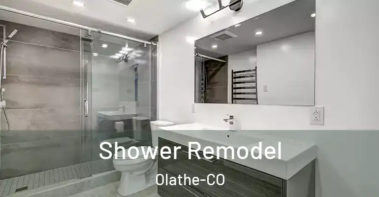 inner Bathroom imggen Shower Remodel Olathe-CO