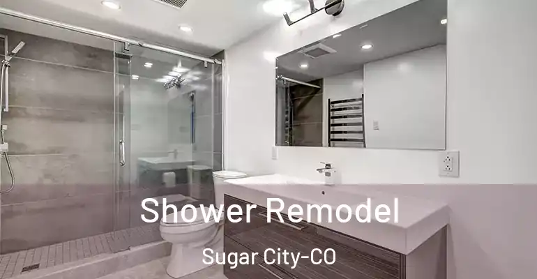 inner Bathroom imggen Shower Remodel Sugar City-CO