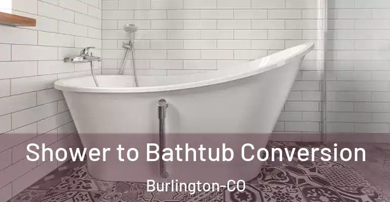 inner Bathroom imggen Shower to Bathtub Conversion Burlington-CO