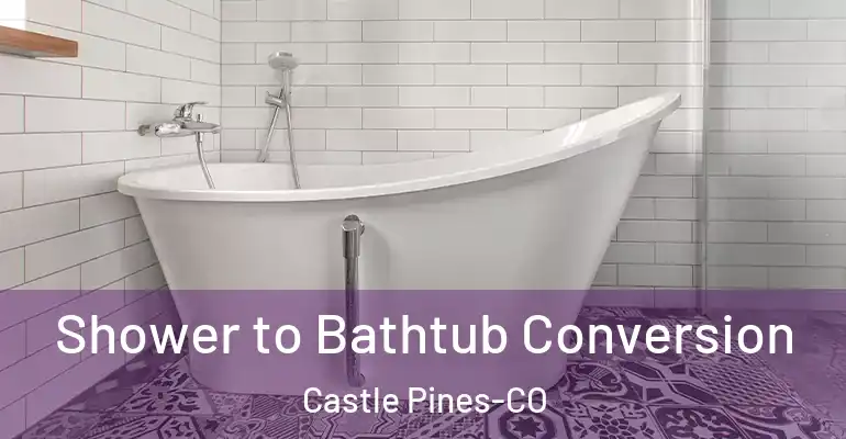inner Bathroom imggen Shower to Bathtub Conversion Castle Pines-CO