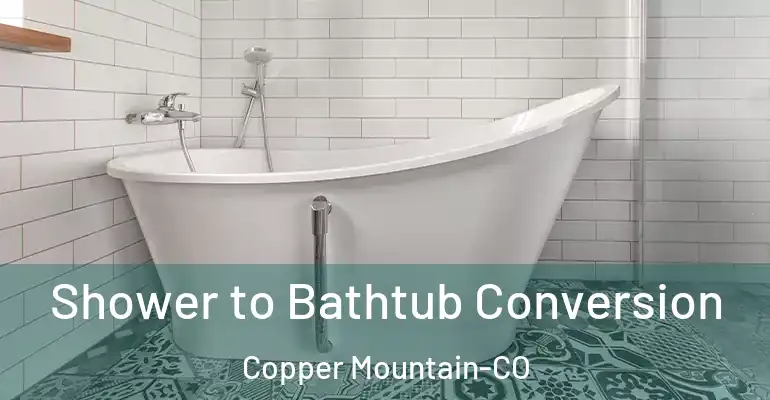 inner Bathroom imggen Shower to Bathtub Conversion Copper Mountain-CO