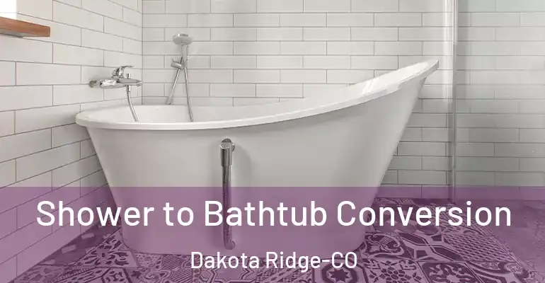 inner Bathroom imggen Shower to Bathtub Conversion Dakota Ridge-CO
