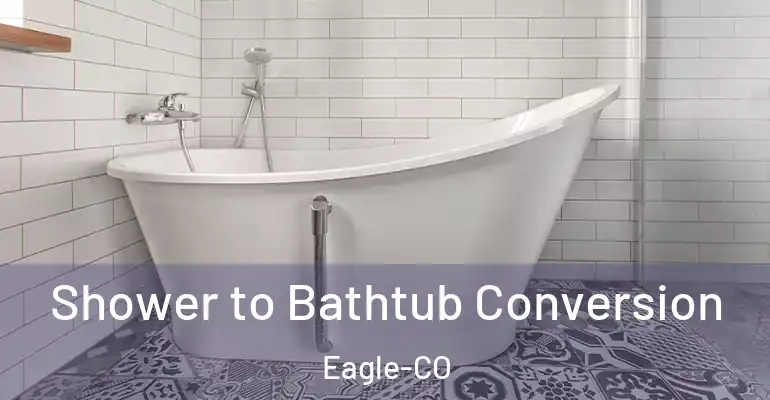 inner Bathroom imggen Shower to Bathtub Conversion Eagle-CO