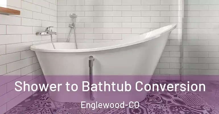 inner Bathroom imggen Shower to Bathtub Conversion Englewood-CO