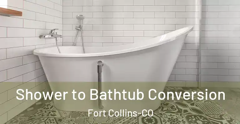 inner Bathroom imggen Shower to Bathtub Conversion Fort Collins-CO