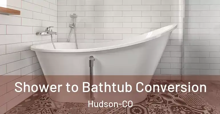 inner Bathroom imggen Shower to Bathtub Conversion Hudson-CO