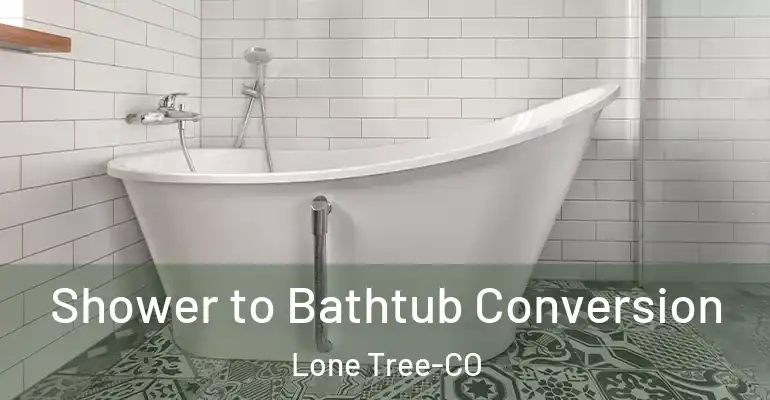 inner Bathroom imggen Shower to Bathtub Conversion Lone Tree-CO