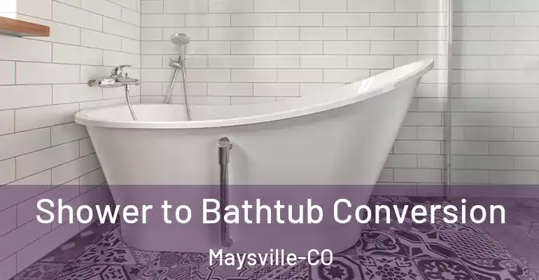 inner Bathroom imggen Shower to Bathtub Conversion Maysville-CO