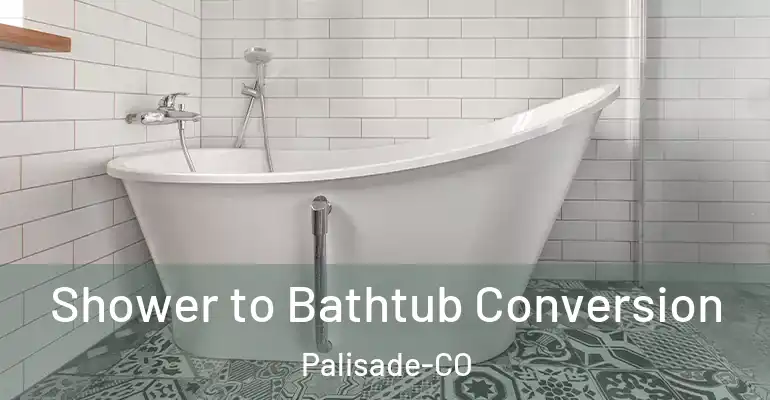 inner Bathroom imggen Shower to Bathtub Conversion Palisade-CO