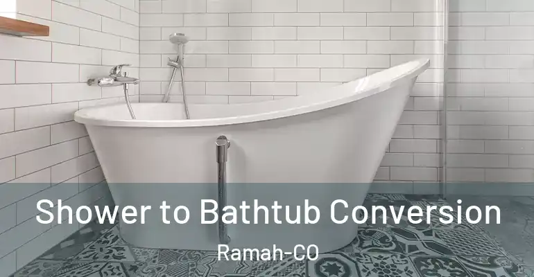 inner Bathroom imggen Shower to Bathtub Conversion Ramah-CO