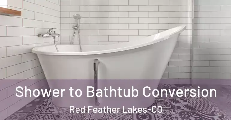 inner Bathroom imggen Shower to Bathtub Conversion Red Feather Lakes-CO