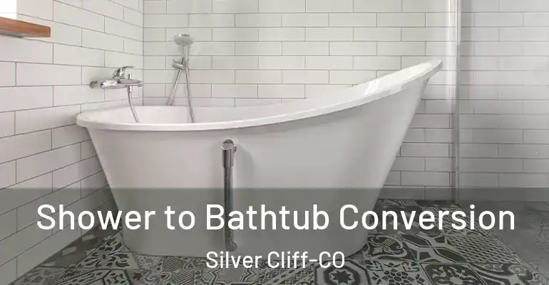 inner Bathroom imggen Shower to Bathtub Conversion Silver Cliff-CO