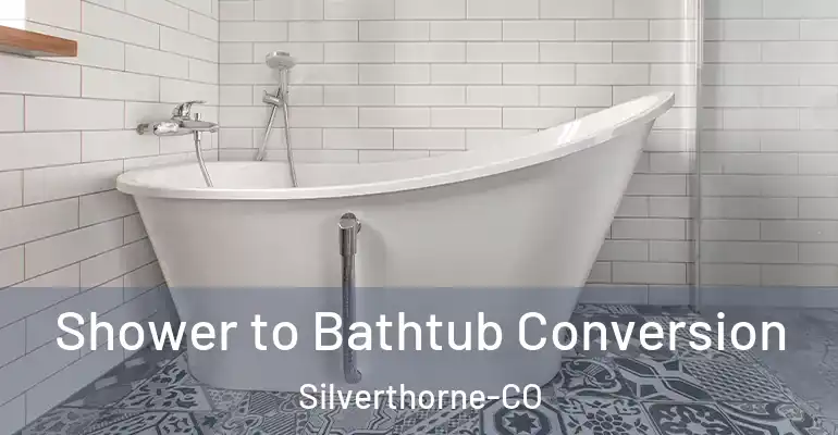 inner Bathroom imggen Shower to Bathtub Conversion Silverthorne-CO