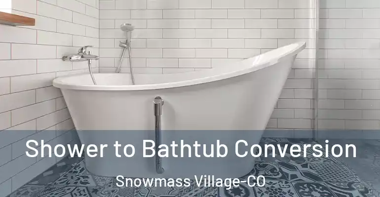 inner Bathroom imggen Shower to Bathtub Conversion Snowmass Village-CO