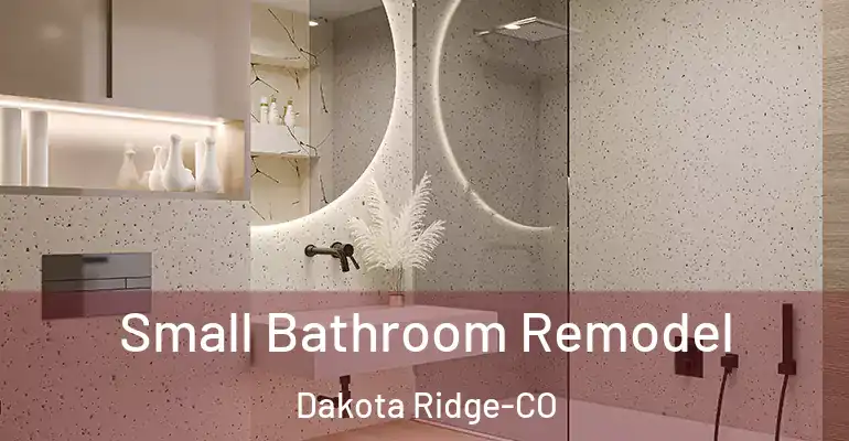 inner Bathroom imggen Small Bathroom Remodel Dakota Ridge-CO
