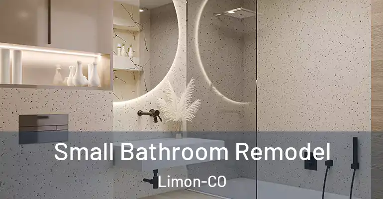 inner Bathroom imggen Small Bathroom Remodel Limon-CO