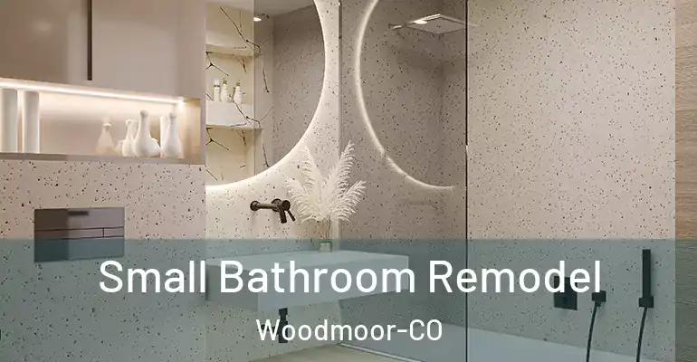 inner Bathroom imggen Small Bathroom Remodel Woodmoor-CO